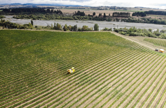 Leveret Estate Winery