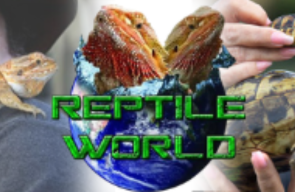 Reptile World