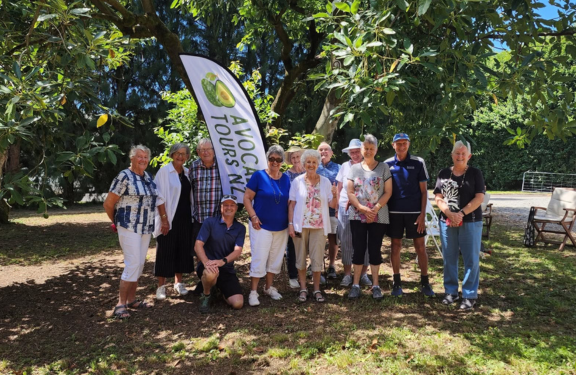 Avocado Tours Katikati