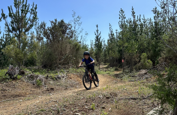 Katikati Bike Series