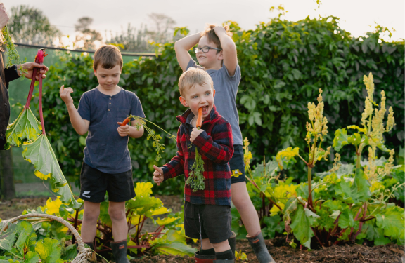 Kings Seeds (NZ) Ltd