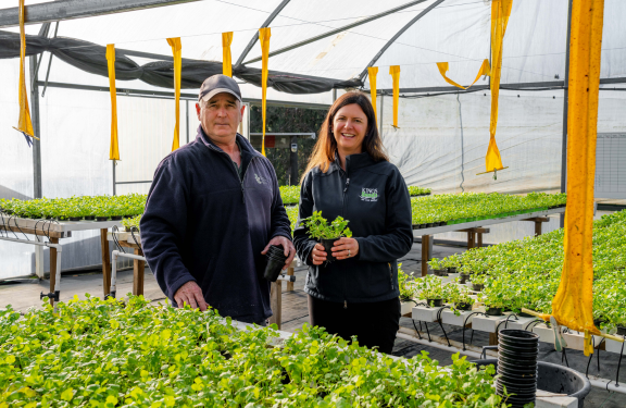 Kings Seeds (NZ) Ltd
