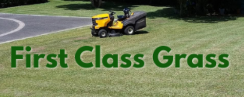 First Class Grass