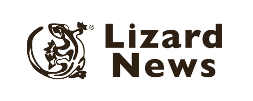 Lizard News