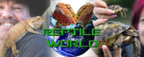 Reptile World